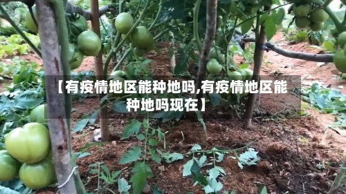【有疫情地区能种地吗,有疫情地区能种地吗现在】-第2张图片