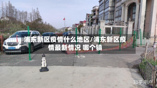 浦东新区疫情什么地区/浦东新区疫情最新情况 哪个镇-第3张图片