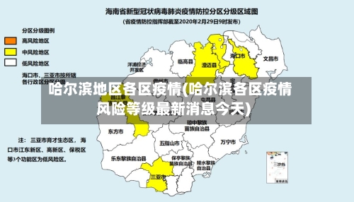 哈尔滨地区各区疫情(哈尔滨各区疫情风险等级最新消息今天)-第3张图片