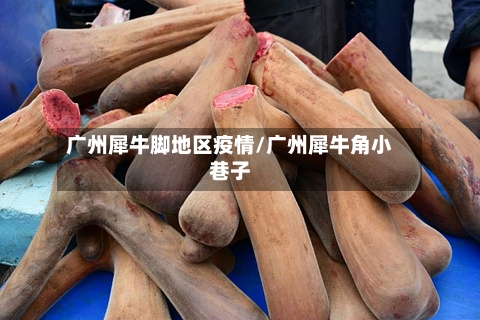 广州犀牛脚地区疫情/广州犀牛角小巷子-第3张图片