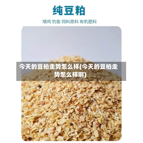 今天的豆柏走势怎么样(今天的豆柏走势怎么样啊)-第2张图片