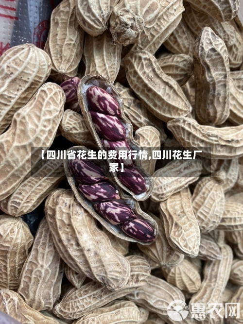 【四川省花生的费用行情,四川花生厂家】-第2张图片