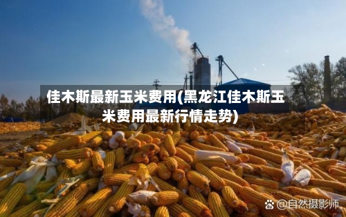 佳木斯最新玉米费用(黑龙江佳木斯玉米费用最新行情走势)