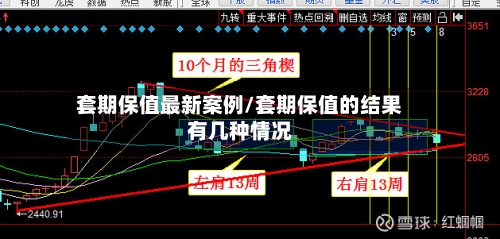套期保值最新案例/套期保值的结果有几种情况-第2张图片