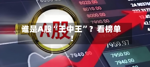 谁是A股“王中王	”？看榜单！-第3张图片