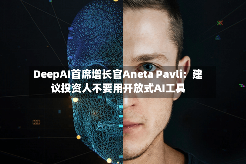 DeepAI首席增长官Aneta Pavli：建议投资人不要用开放式AI工具-第3张图片