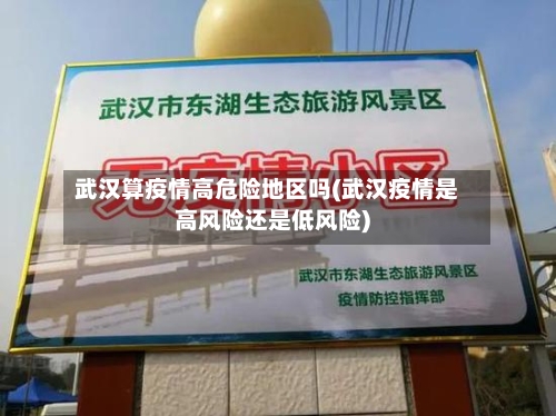 武汉算疫情高危险地区吗(武汉疫情是高风险还是低风险)