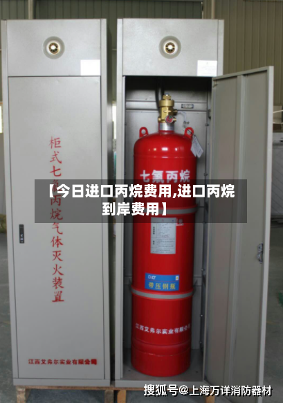 【今日进口丙烷费用,进口丙烷到岸费用】