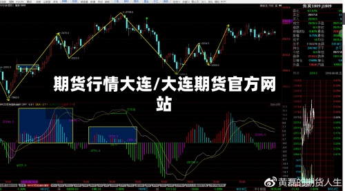 期货行情大连/大连期货官方网站-第2张图片