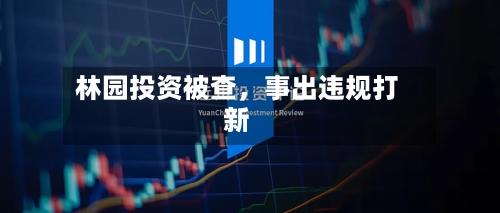 林园投资被查，事出违规打新