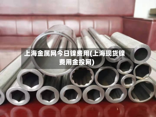 上海金属网今日镍费用(上海现货镍费用金投网)-第2张图片