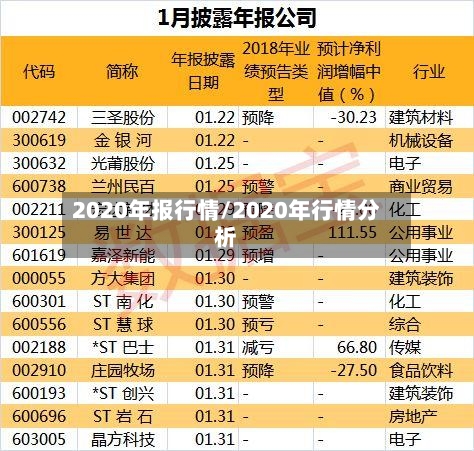 2020年报行情/2020年行情分析-第3张图片