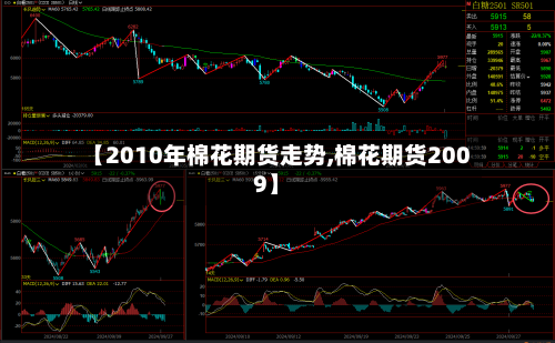 【2010年棉花期货走势,棉花期货2009】
