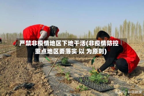 严禁非疫情地区下地干活(非疫情防控重点地区要落实 以 为原则)