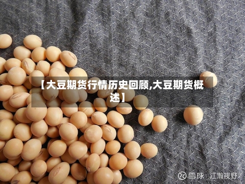【大豆期货行情历史回顾,大豆期货概述】