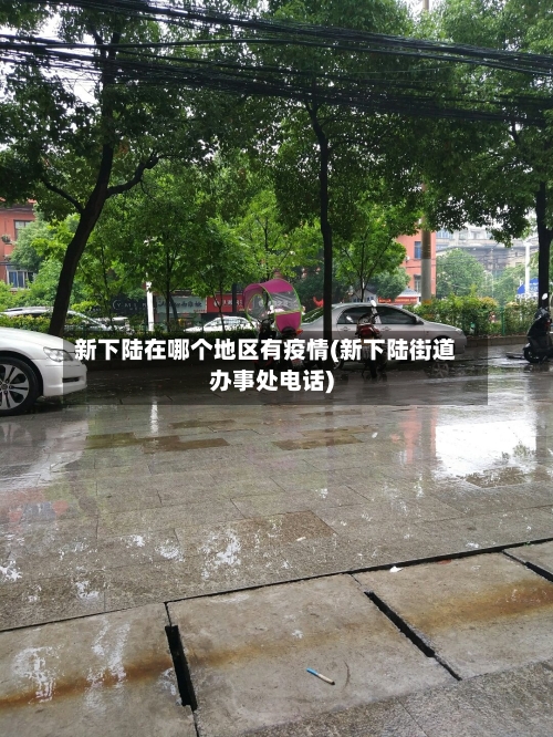 新下陆在哪个地区有疫情(新下陆街道办事处电话)-第3张图片