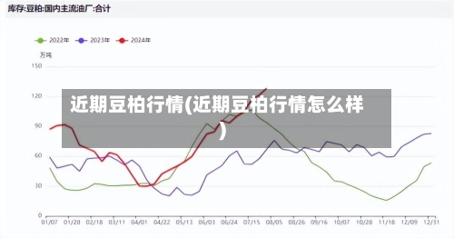 近期豆柏行情(近期豆柏行情怎么样)-第2张图片