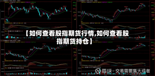 【如何查看股指期货行情,如何查看股指期货持仓】