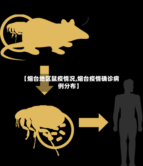 【烟台地区鼠疫情况,烟台疫情确诊病例分布】
