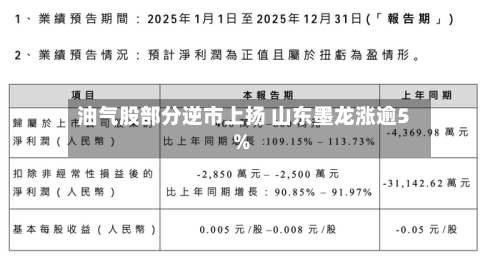 油气股部分逆市上扬 山东墨龙涨逾5%-第2张图片