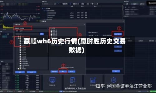 赢顺wh6历史行情(赢时胜历史交易数据)