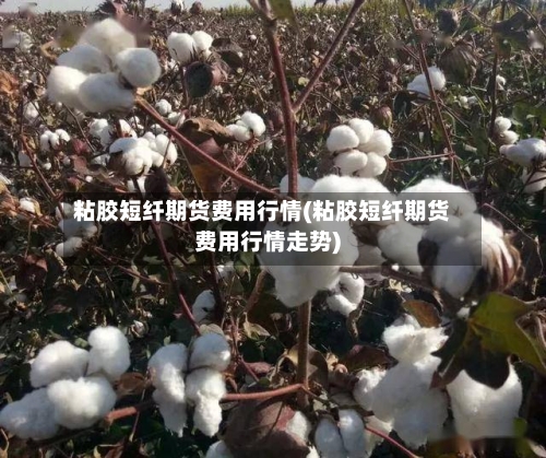 粘胶短纤期货费用行情(粘胶短纤期货费用行情走势)-第3张图片