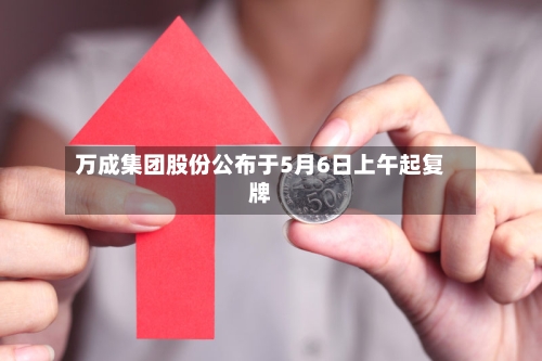 万成集团股份公布于5月6日上午起复牌-第2张图片