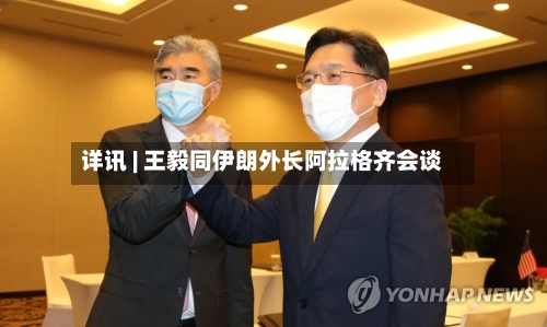 详讯 | 王毅同伊朗外长阿拉格齐会谈