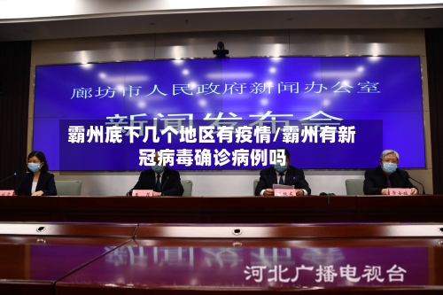 霸州底下几个地区有疫情/霸州有新冠病毒确诊病例吗