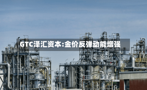 GTC泽汇资本:金价反弹动能增强-第3张图片