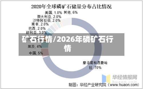 矿石行情/2026年磷矿石行情-第2张图片
