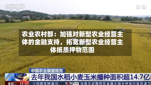 农业农村部：加强对新型农业经营主体的金融支持，拓宽新型农业经营主体抵质押物范围