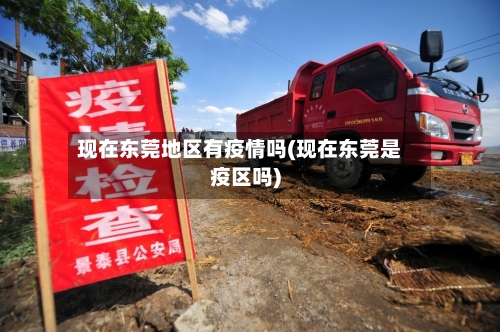 现在东莞地区有疫情吗(现在东莞是疫区吗)-第2张图片