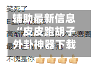 辅助最新信息“皮皮跑胡子外卦神器下载”万能辅助详细步骤与使用技巧-第2张图片