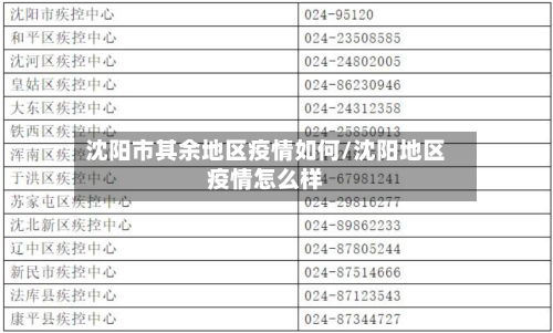 沈阳市其余地区疫情如何/沈阳地区疫情怎么样-第2张图片