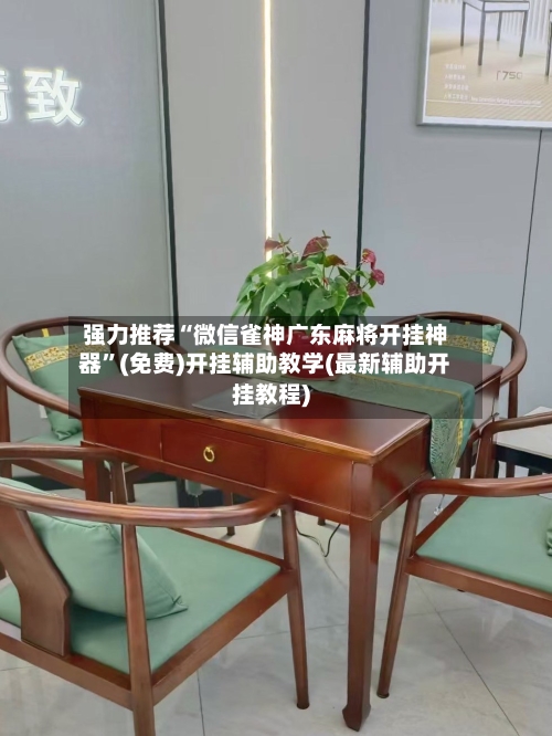 强力推荐“微信雀神广东麻将开挂神器”(免费)开挂辅助教学(最新辅助开挂教程)-第2张图片