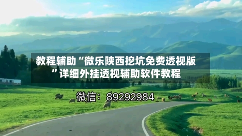 教程辅助“微乐陕西挖坑免费透视版”详细外挂透视辅助软件教程-第2张图片
