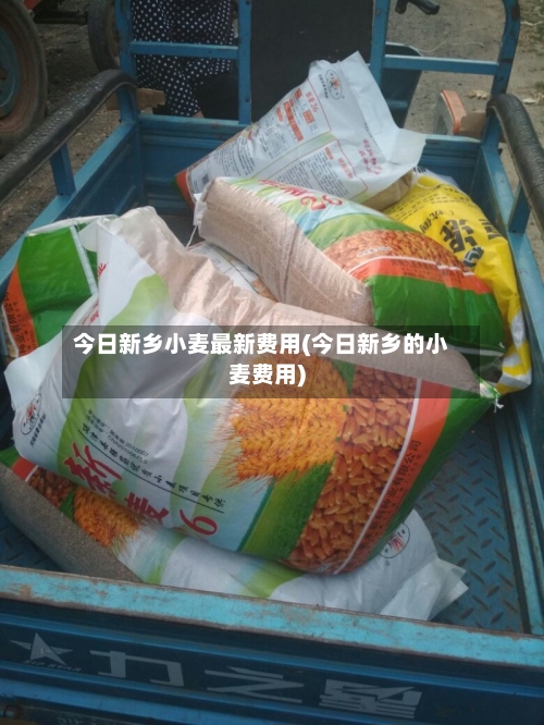 今日新乡小麦最新费用(今日新乡的小麦费用)-第2张图片