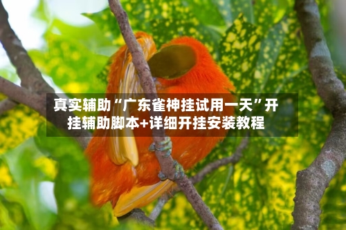 真实辅助“广东雀神挂试用一天”开挂辅助脚本+详细开挂安装教程-第2张图片