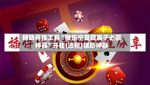 辅助开挂工具“微乐宁夏捉麻子必赢神器	”开挂(透视)辅助神器-第2张图片