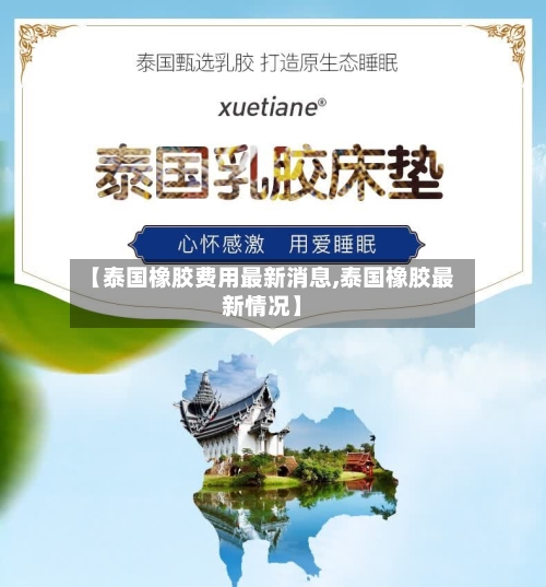 【泰国橡胶费用最新消息,泰国橡胶最新情况】
