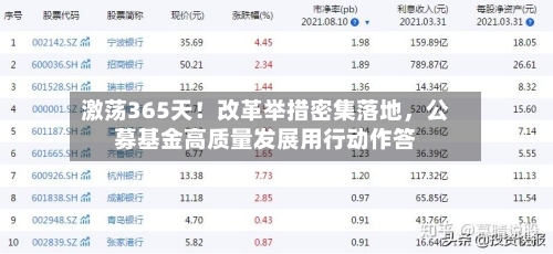 激荡365天！改革举措密集落地，公募基金高质量发展用行动作答-第2张图片