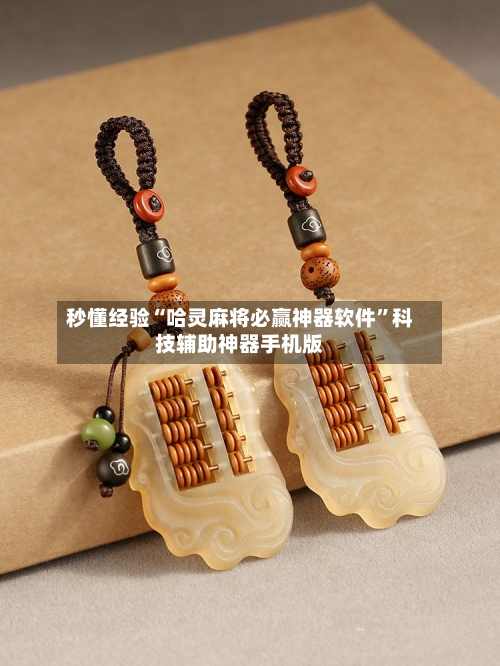 秒懂经验“哈灵麻将必赢神器软件”科技辅助神器手机版-第3张图片