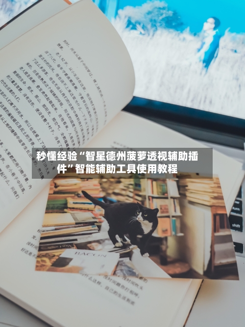 秒懂经验“智星德州菠萝透视辅助插件”智能辅助工具使用教程