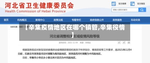 【辛集疫情地区在哪个镇管,辛集役情】-第3张图片