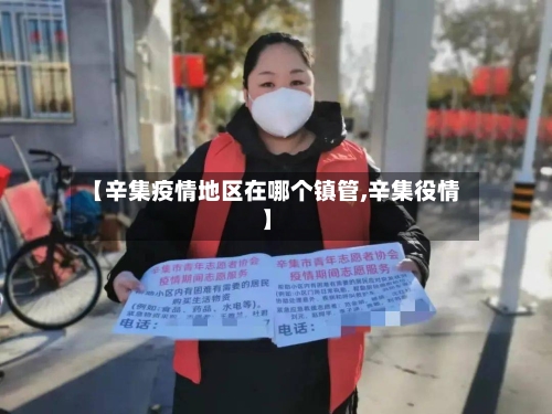 【辛集疫情地区在哪个镇管,辛集役情】
