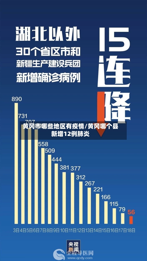 黄冈市哪些地区有疫情/黄冈哪个县新增12例肺炎-第2张图片