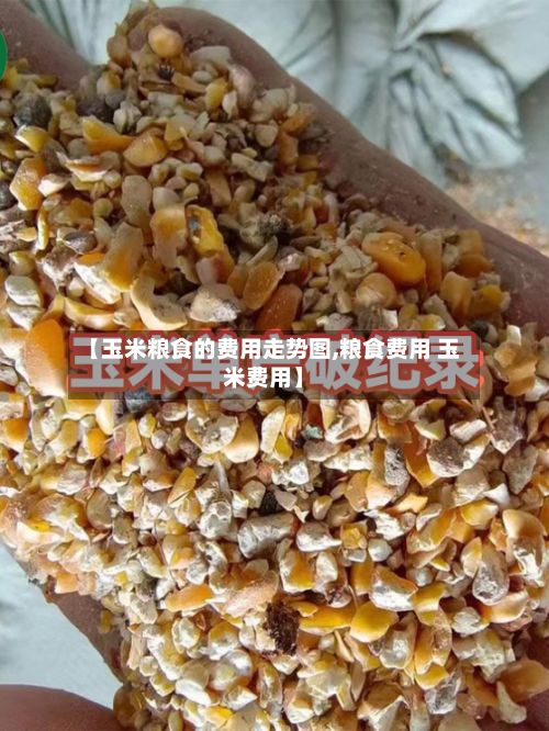 【玉米粮食的费用走势图,粮食费用 玉米费用】