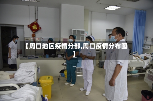 【周口地区疫情分部,周口疫情分布图】-第2张图片