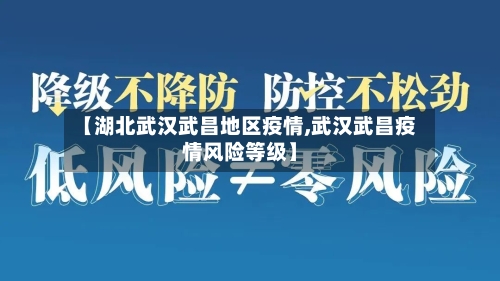 【湖北武汉武昌地区疫情,武汉武昌疫情风险等级】